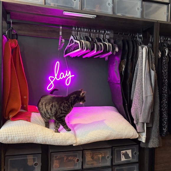 MEET ME - Picture 10 of 16